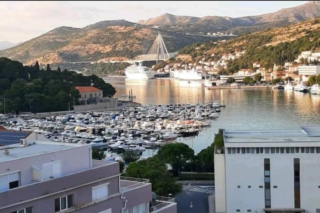 Gorgeous Dubrovnik Sea View Apartment With Free Parking エクステリア 写真