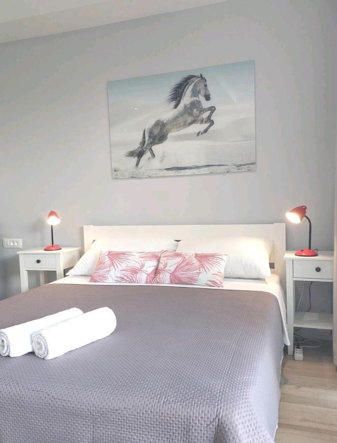 Gorgeous Dubrovnik Sea View Apartment With Free Parking エクステリア 写真